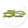 Jungle Snake - 4 PIPEline-Wasser-Reifenrutschen